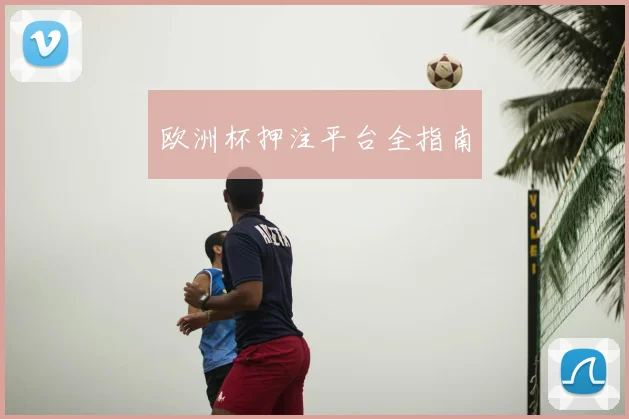 欧洲杯押注平台全指南