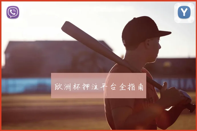 欧洲杯押注平台全指南