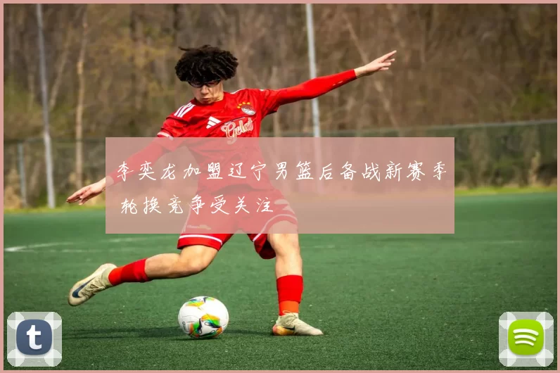 李奕龙加盟辽宁男篮后备战新赛季 轮换竞争受关注