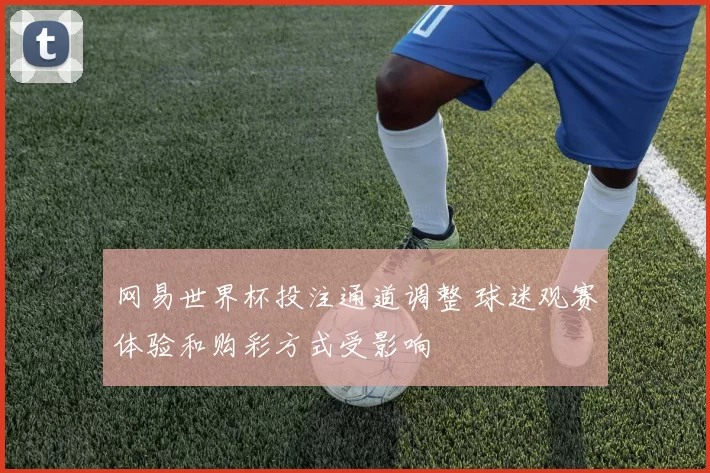 网易世界杯投注通道调整 球迷观赛体验和购彩方式受影响